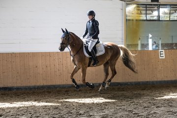 Bild 3 - Pony Akademie Turnier